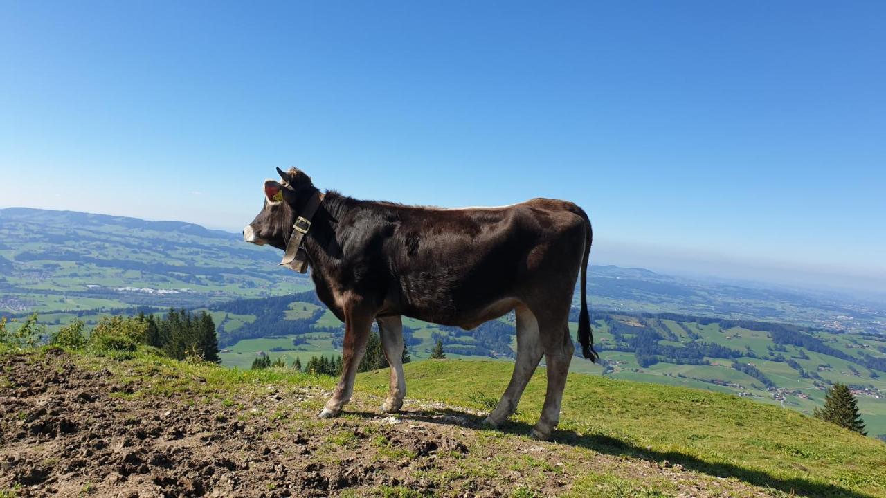 Allgaeu Bergluft Weitnau エクステリア 写真