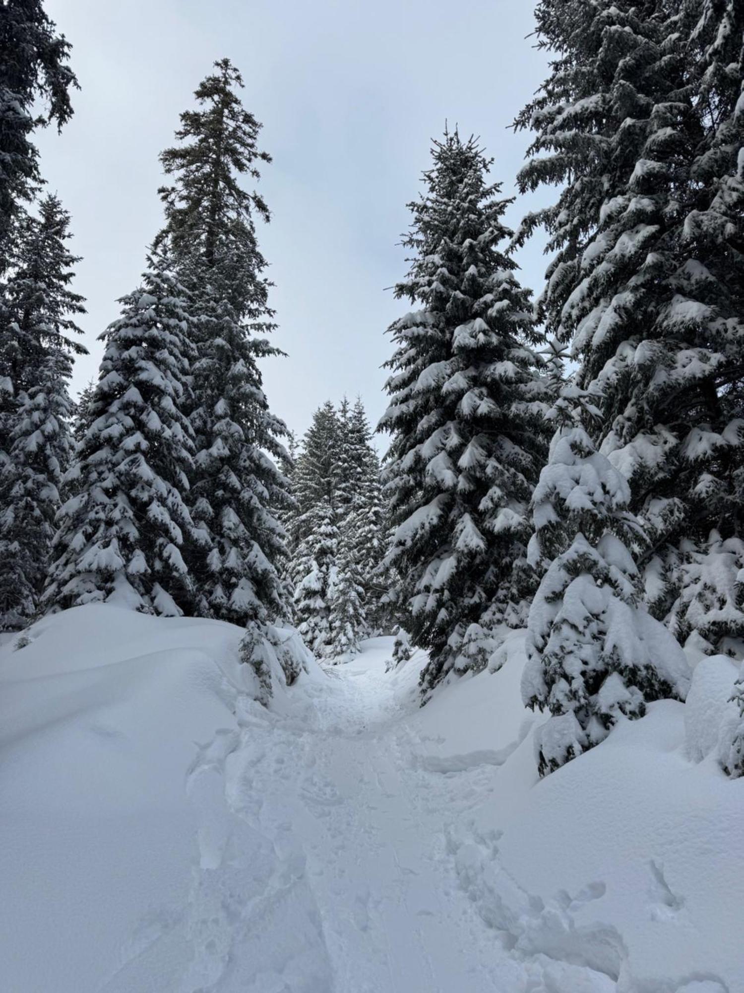 Allgaeu Bergluft Weitnau エクステリア 写真