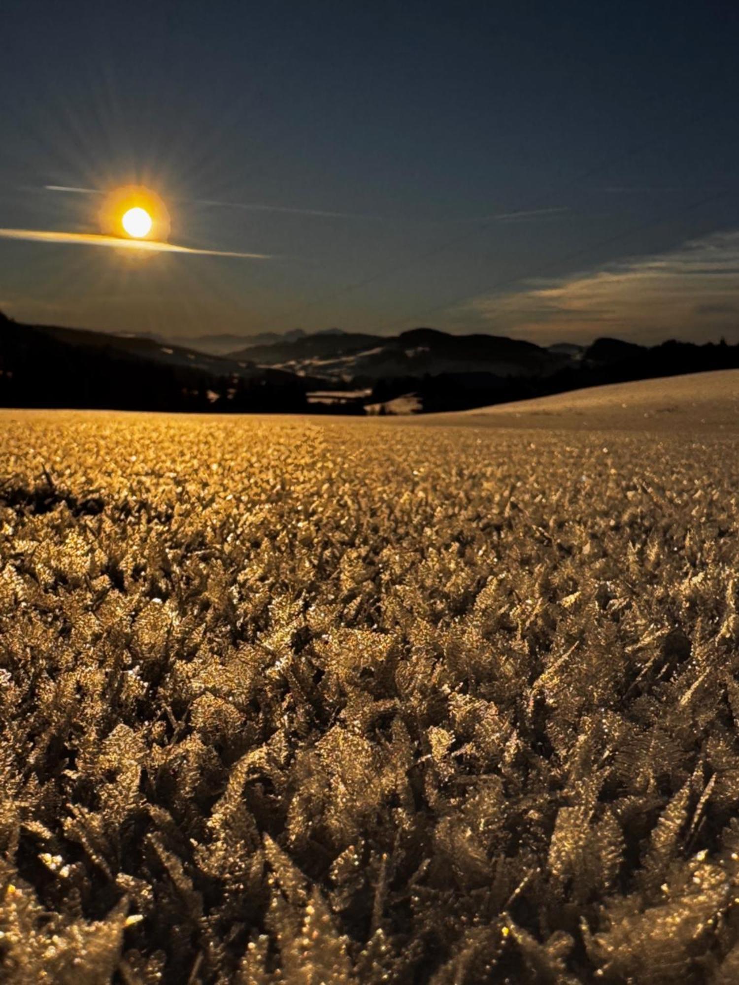 Allgaeu Bergluft Weitnau エクステリア 写真