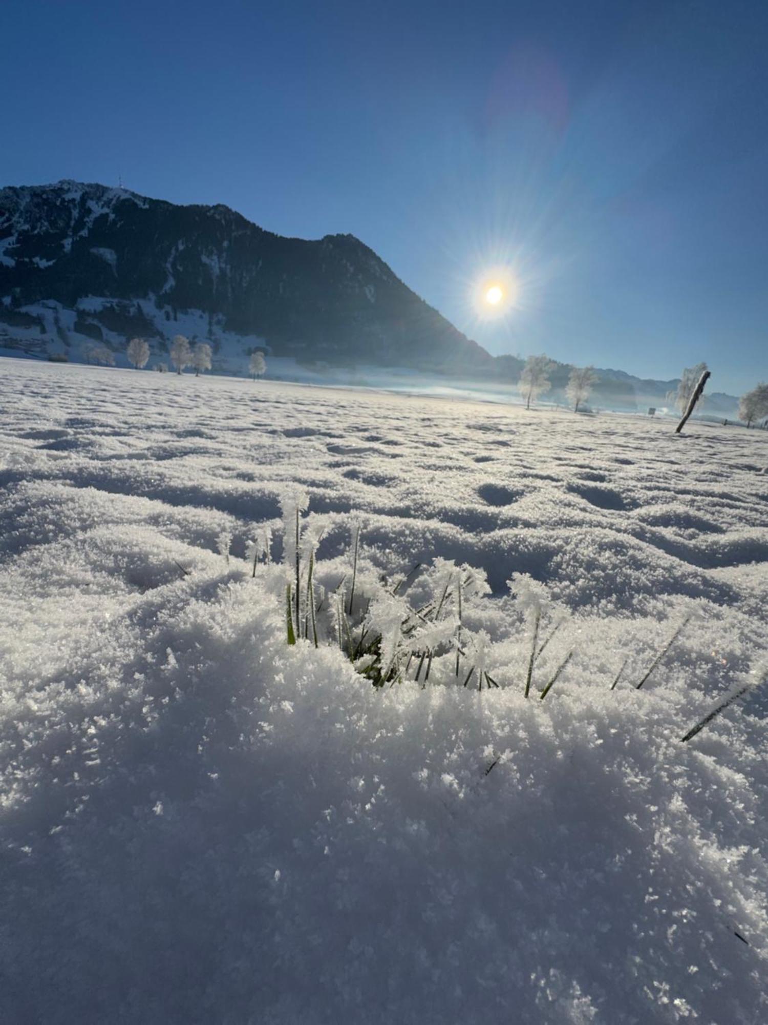 Allgaeu Bergluft Weitnau エクステリア 写真