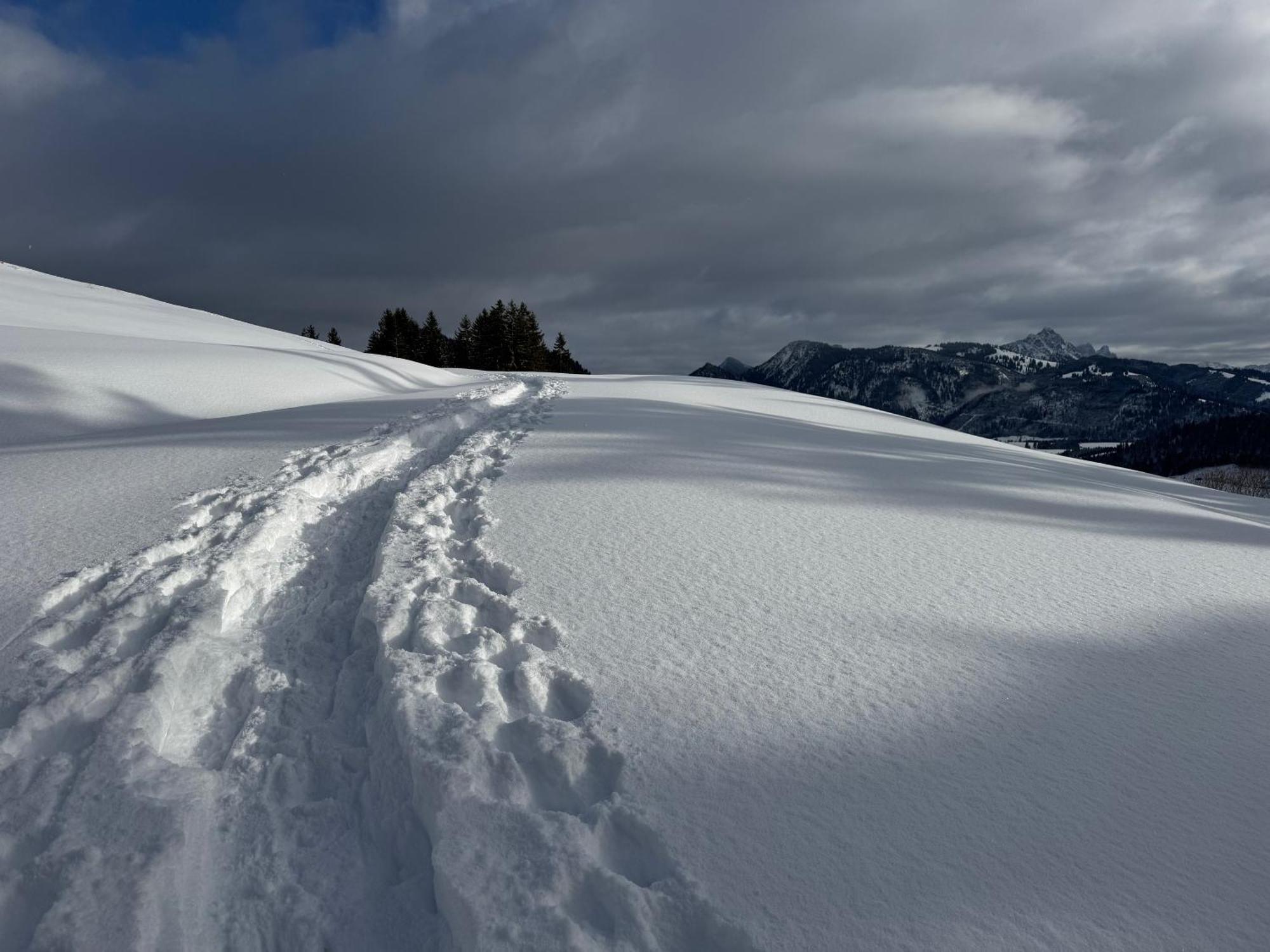 Allgaeu Bergluft Weitnau エクステリア 写真
