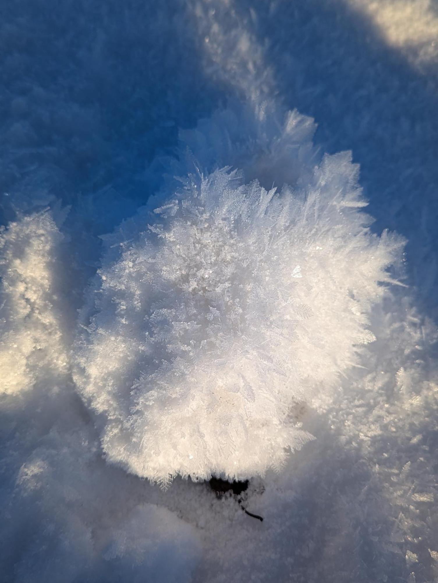 Allgaeu Bergluft Weitnau エクステリア 写真