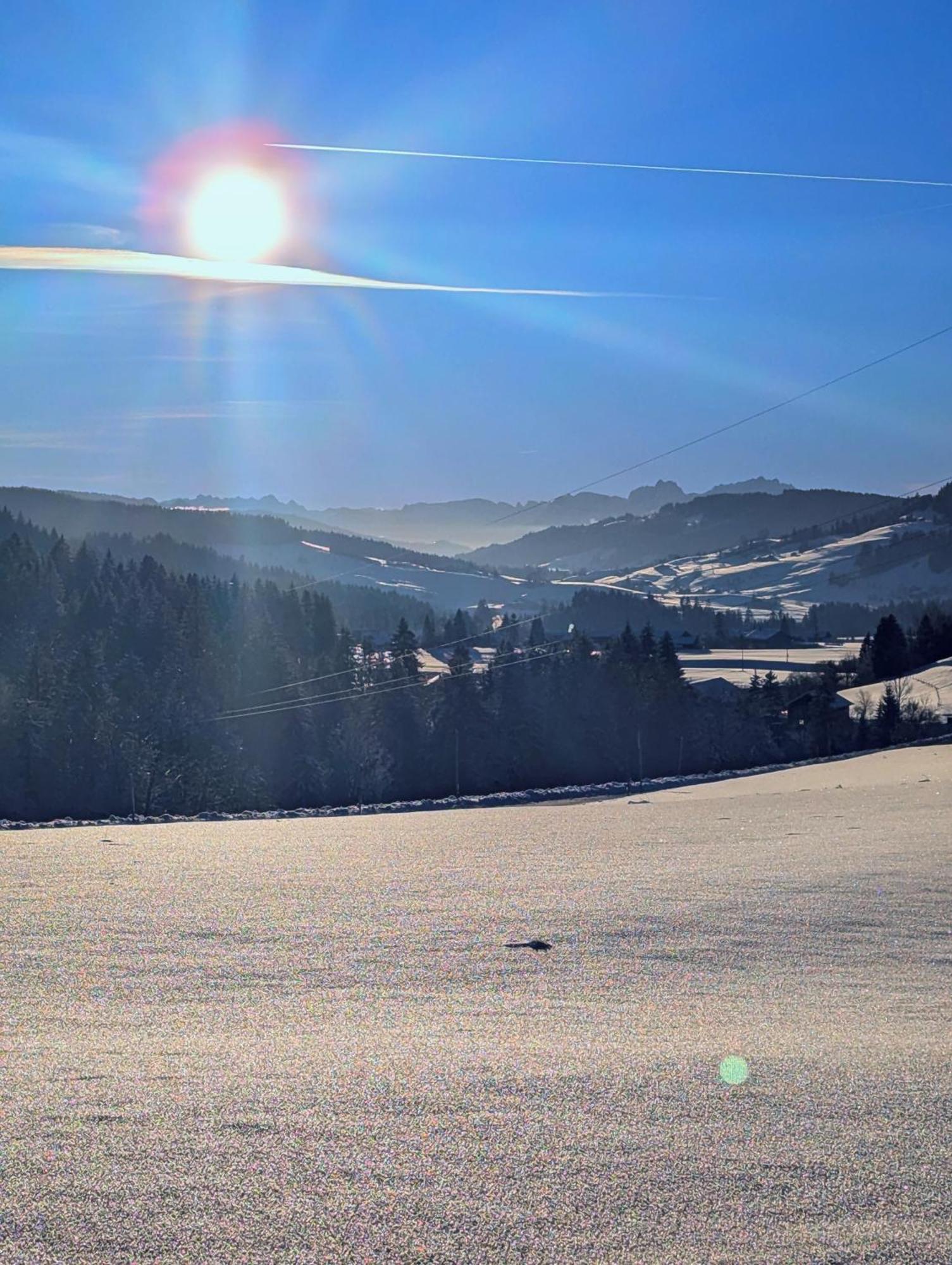 Allgaeu Bergluft Weitnau エクステリア 写真